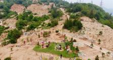 拆除、复绿：福州市持续开展违建坟墓专项整治行动